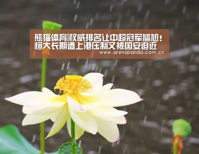 熊猫体育|权威排名让中超冠军尴尬!恒大长期遭上港压制又被国安迫近(图2) 熊猫体育app