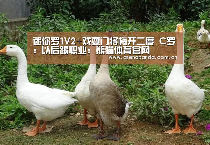 迷你罗1V2+戏耍门将梅开二度 C罗:以后踢职业:熊猫体育官网(图1) 熊猫体育官网