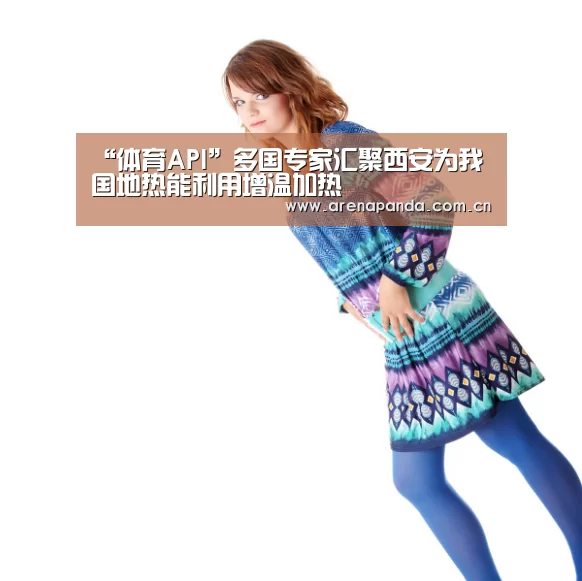 “体育API”多国专家汇聚西安为我国地热能利用增温加热(图3) 体育API