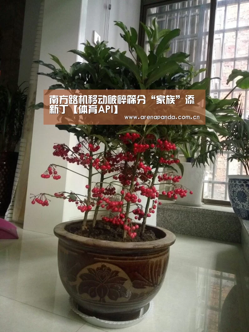 南方路机移动破碎筛分“家族”添新丁【体育API】(图1) 体育API
