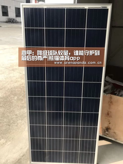意甲:降级球队较量,谁能守护到最后的尊严|熊猫体育app(图1) 熊猫体育