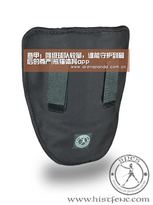 意甲:降级球队较量,谁能守护到最后的尊严|熊猫体育app(图2) 熊猫体育