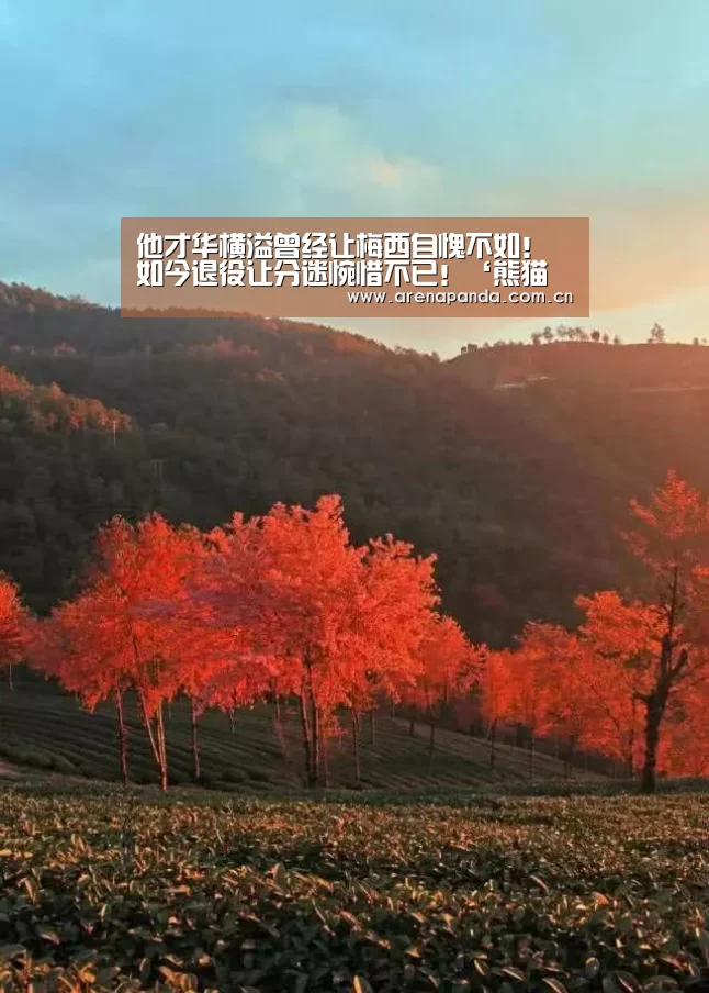 他才华横溢曾经让梅西自愧不如!如今退役让分迷惋惜不已!‘熊猫体育官网’(图3) 熊猫体育